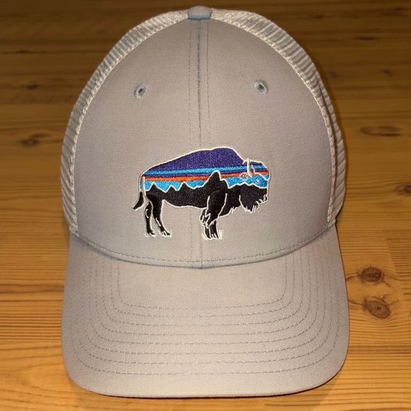 Patagonia Other - Patagonia Hat